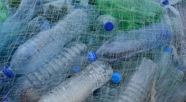 Открытие японских ученых может спасти Землю от пластикового загрязнения